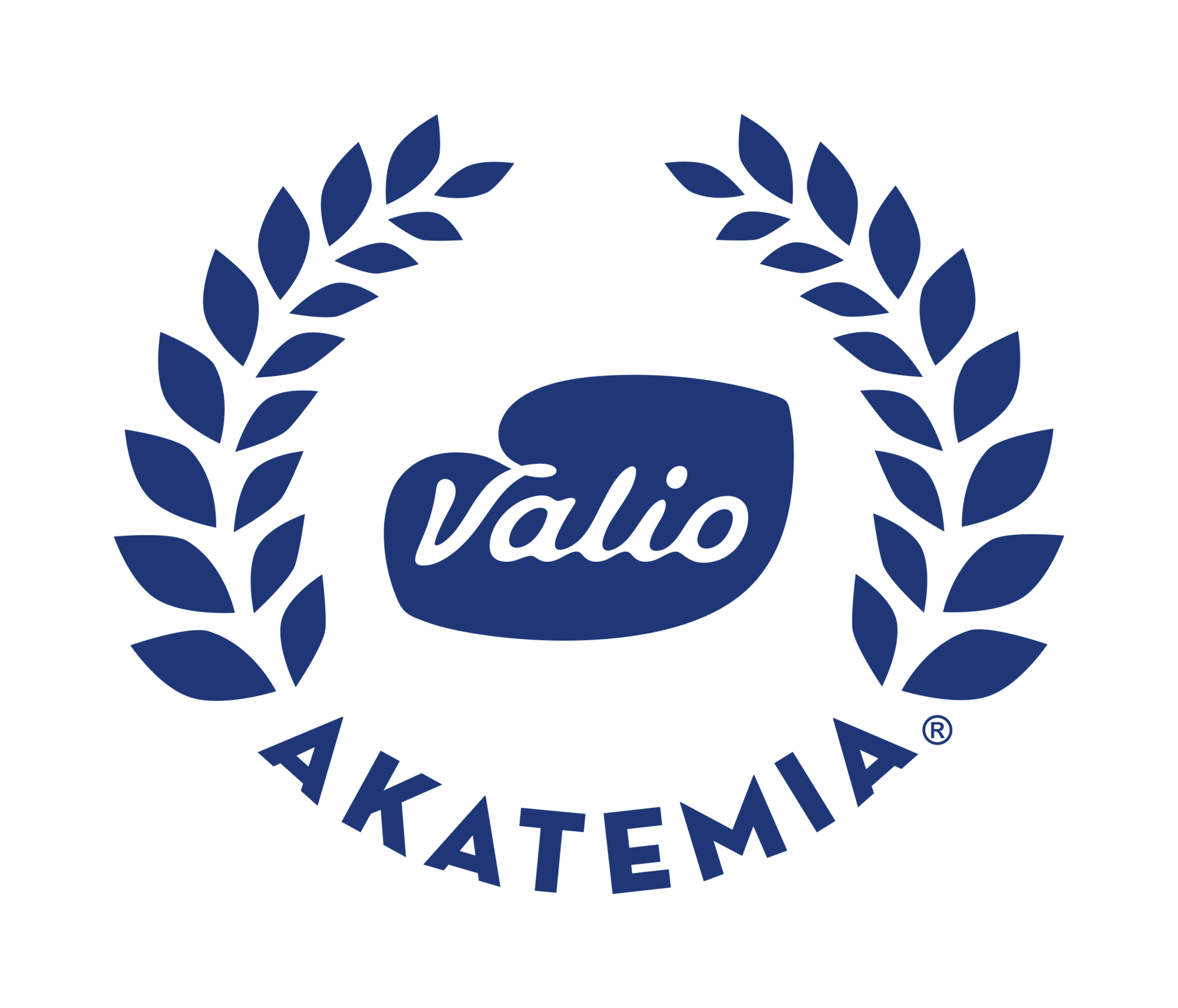 Valio_Akatemia_logo_blue_outline_RGB.jpg
